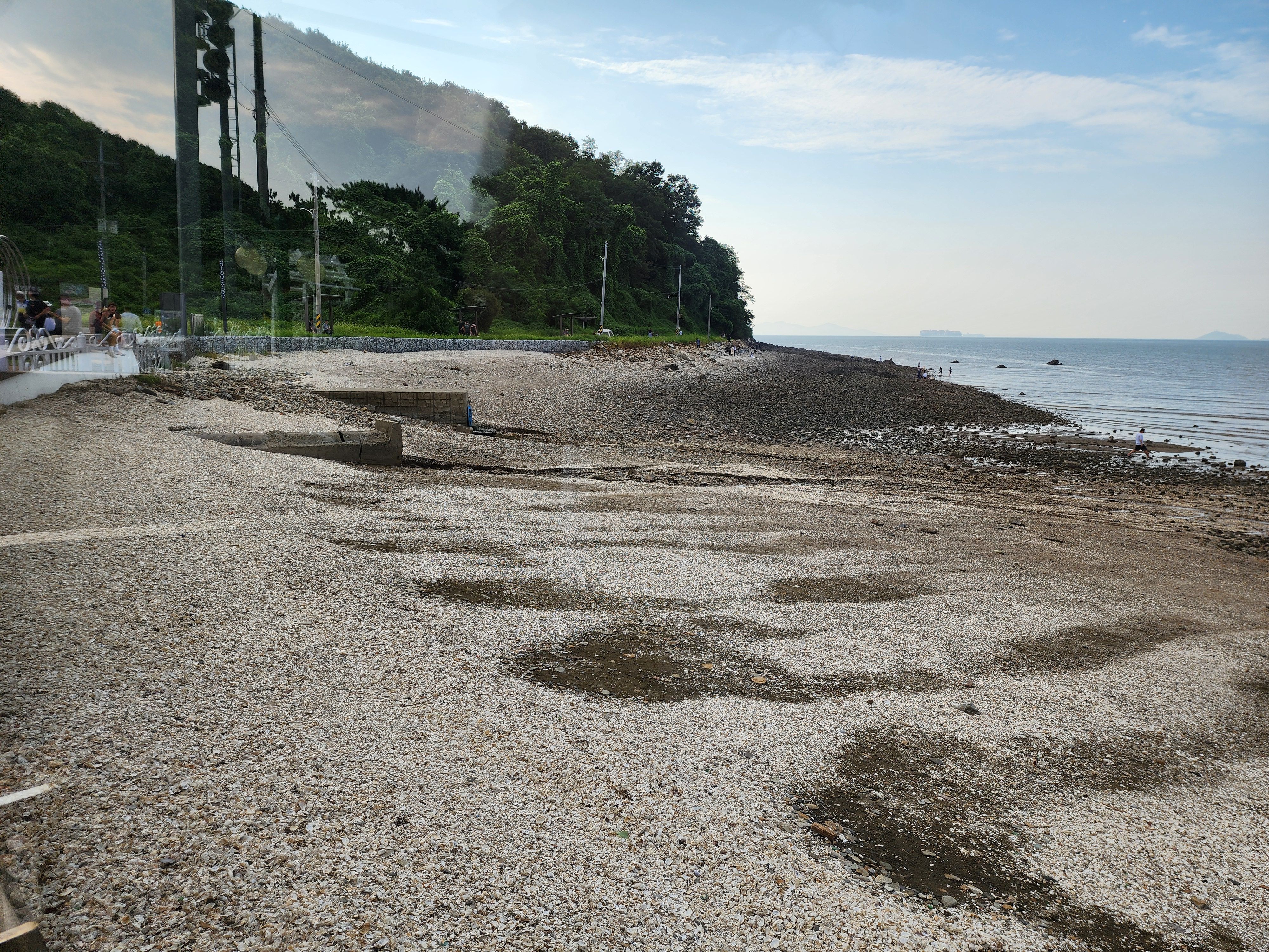 대부도 오션뷰 카페 빈솔트