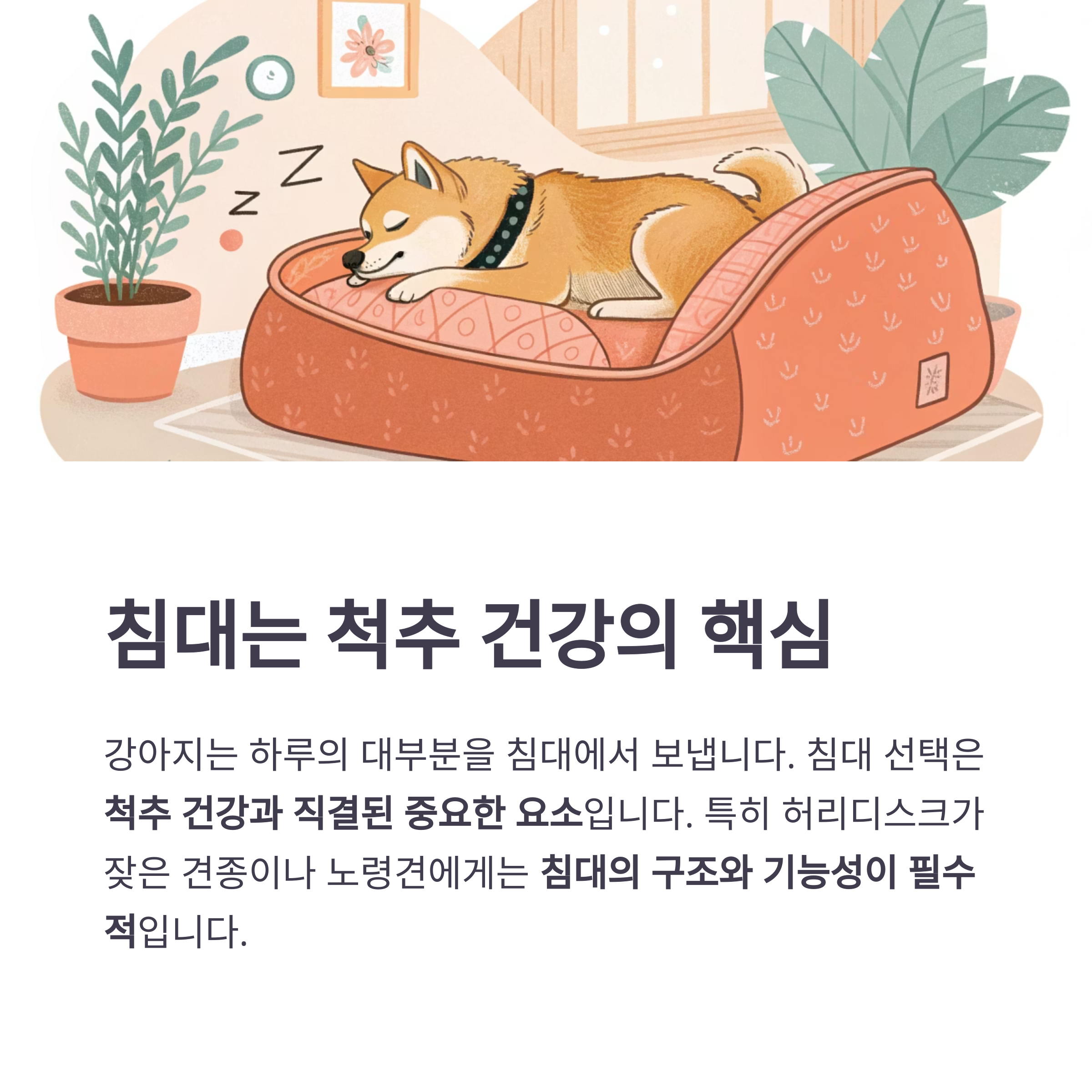 침대는 척추 건강의 핵심