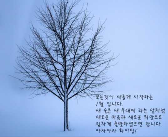 1월인사말-사진9