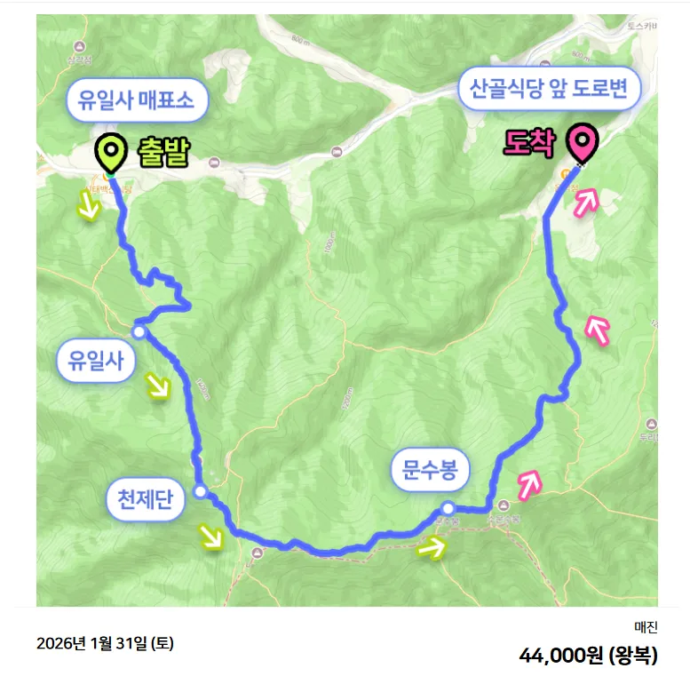 강원도 택백산 말레버스 버스 투어