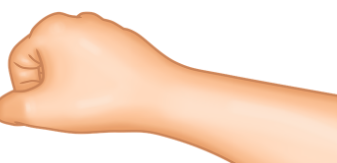 피부 묘기증 예시