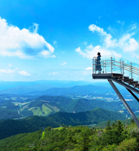 강원도 평창 발왕산과 천년주목숲길 정보