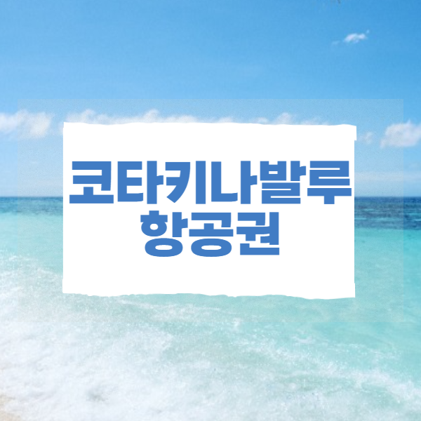 항공권 예매