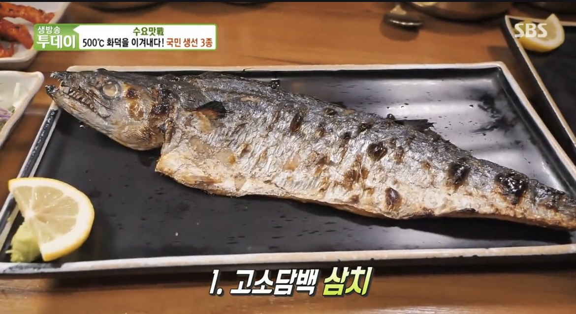 생방송투데이삼치