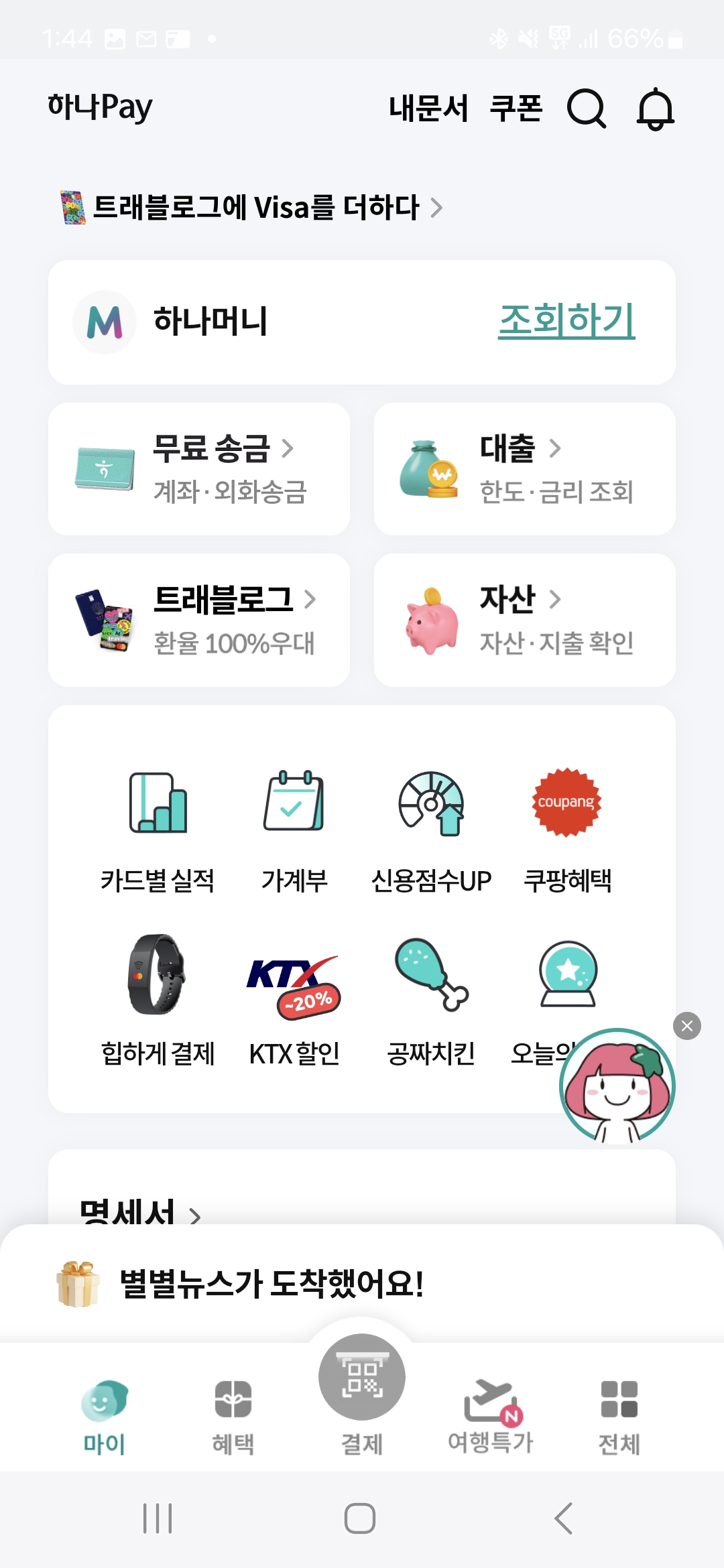 하나페이