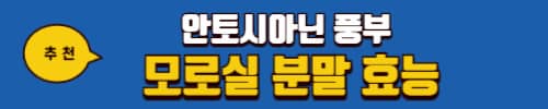 오디 효능 7가지