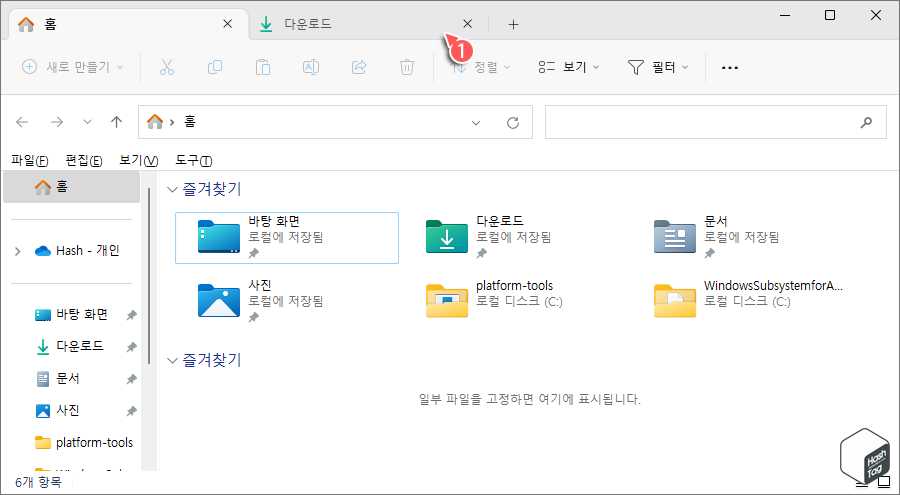 파일 탐색기 탭