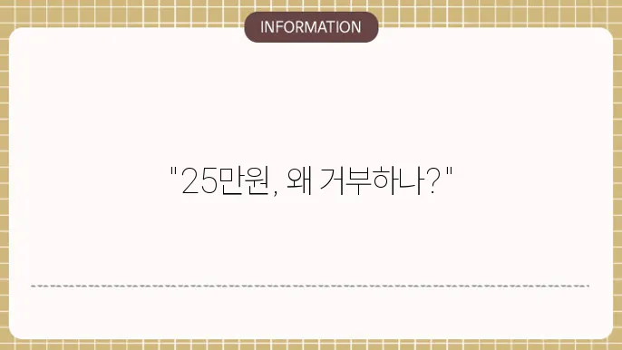 민생지원금 25만원 거부권: 논의 현황