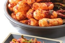 장 건강에 좋은 유산균