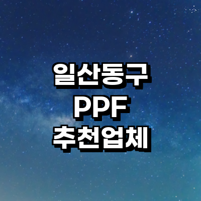 고양 일산동구 ppf