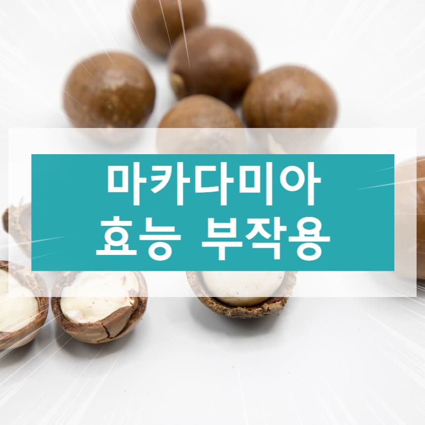 마카다미아 효능 부작용