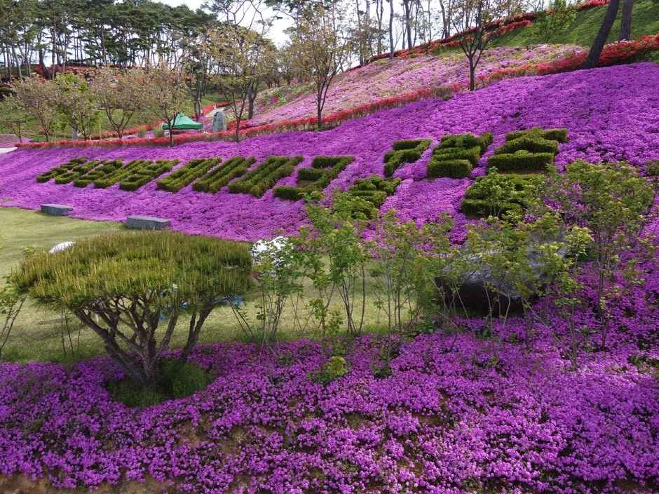 홍성 솔바람테마파크
