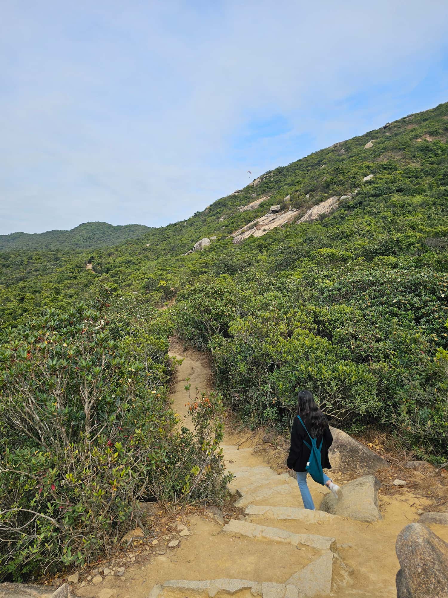 드래곤즈 백 후기