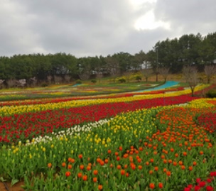 봄 축제 가볼만한 곳