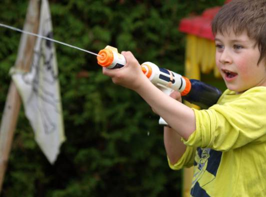 러브버그 퇴치방법