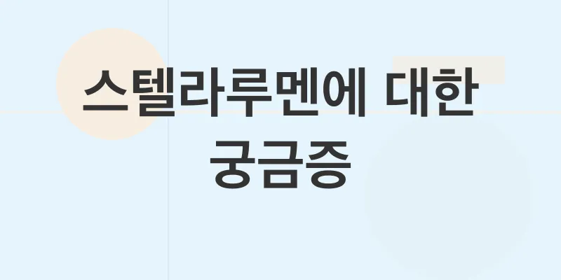 스텔라루멘 전망_4