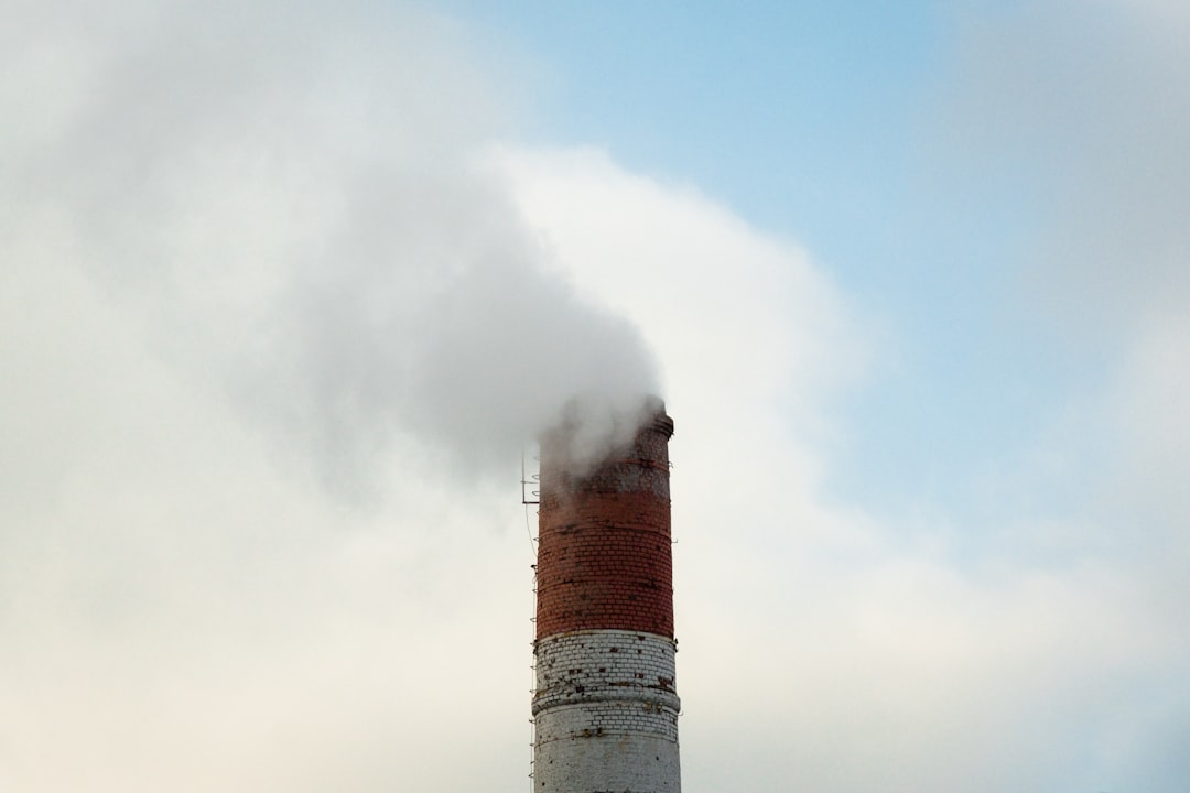 Flue