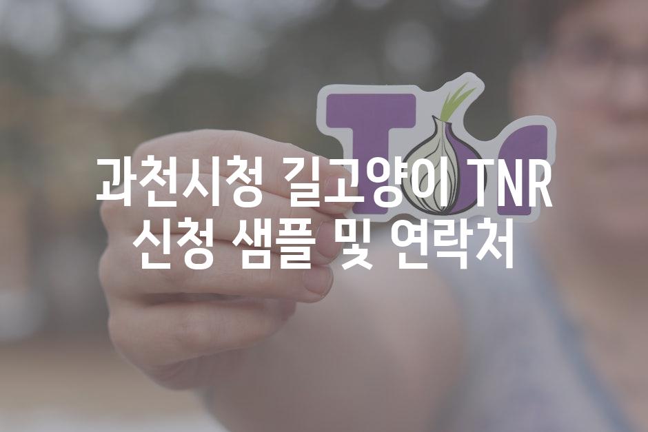 과천시청 길고양이 TNR 신청 샘플 및 연락처