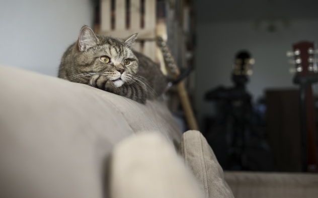 홈케어용 건강 기록 시트