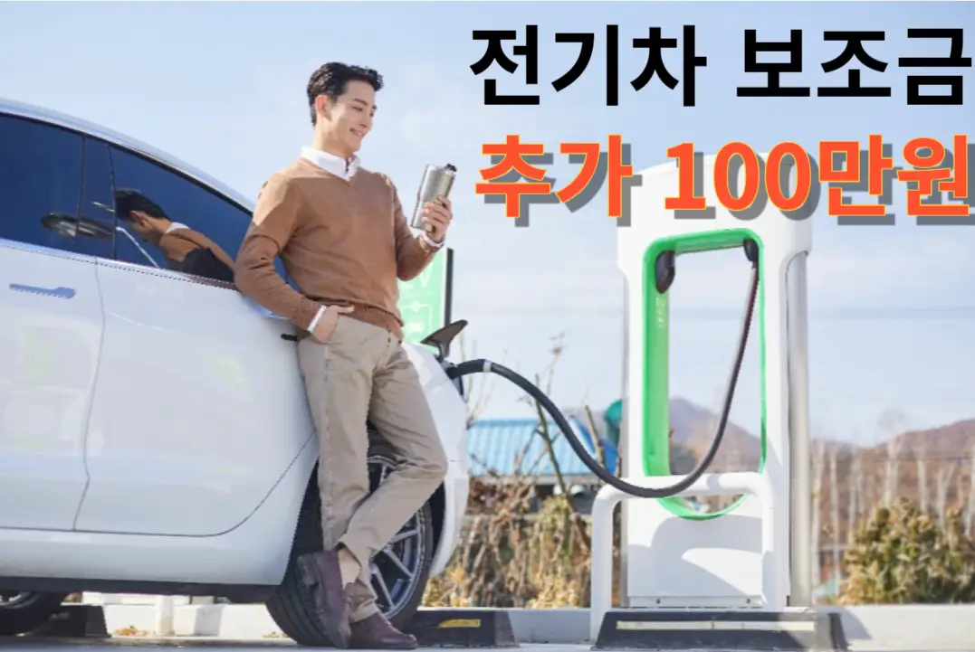 전기차 100만원 할인, 지역할인제