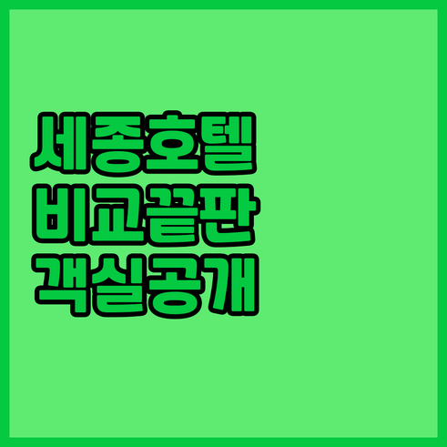 세종시 가볼만한 호텔 추천 장단점 비..