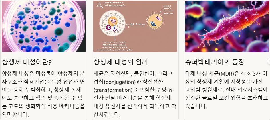 항생제 내성의 기본 개념