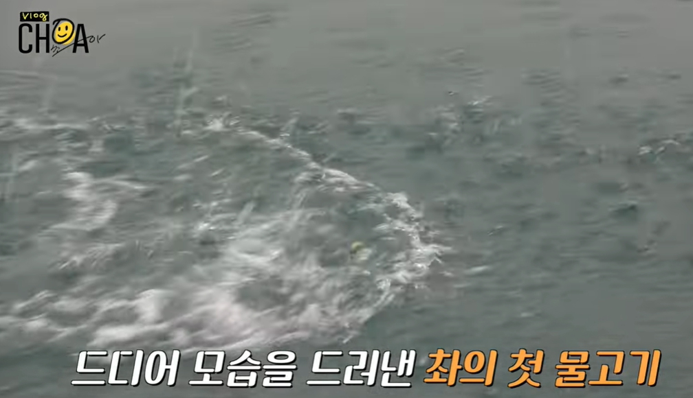 초아낚시