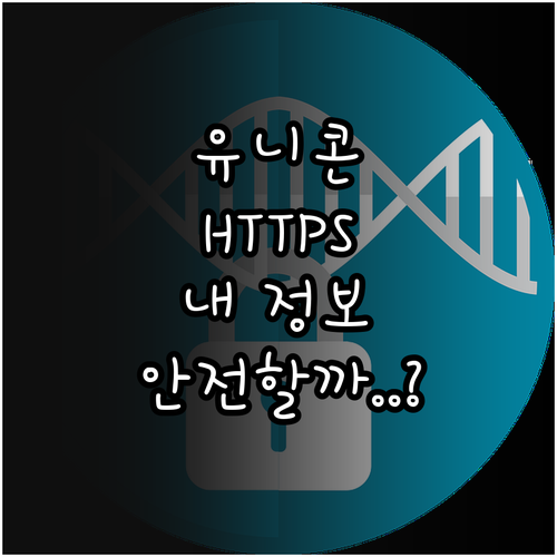 유니콘 HTTPS 우회 접속 시 개인..