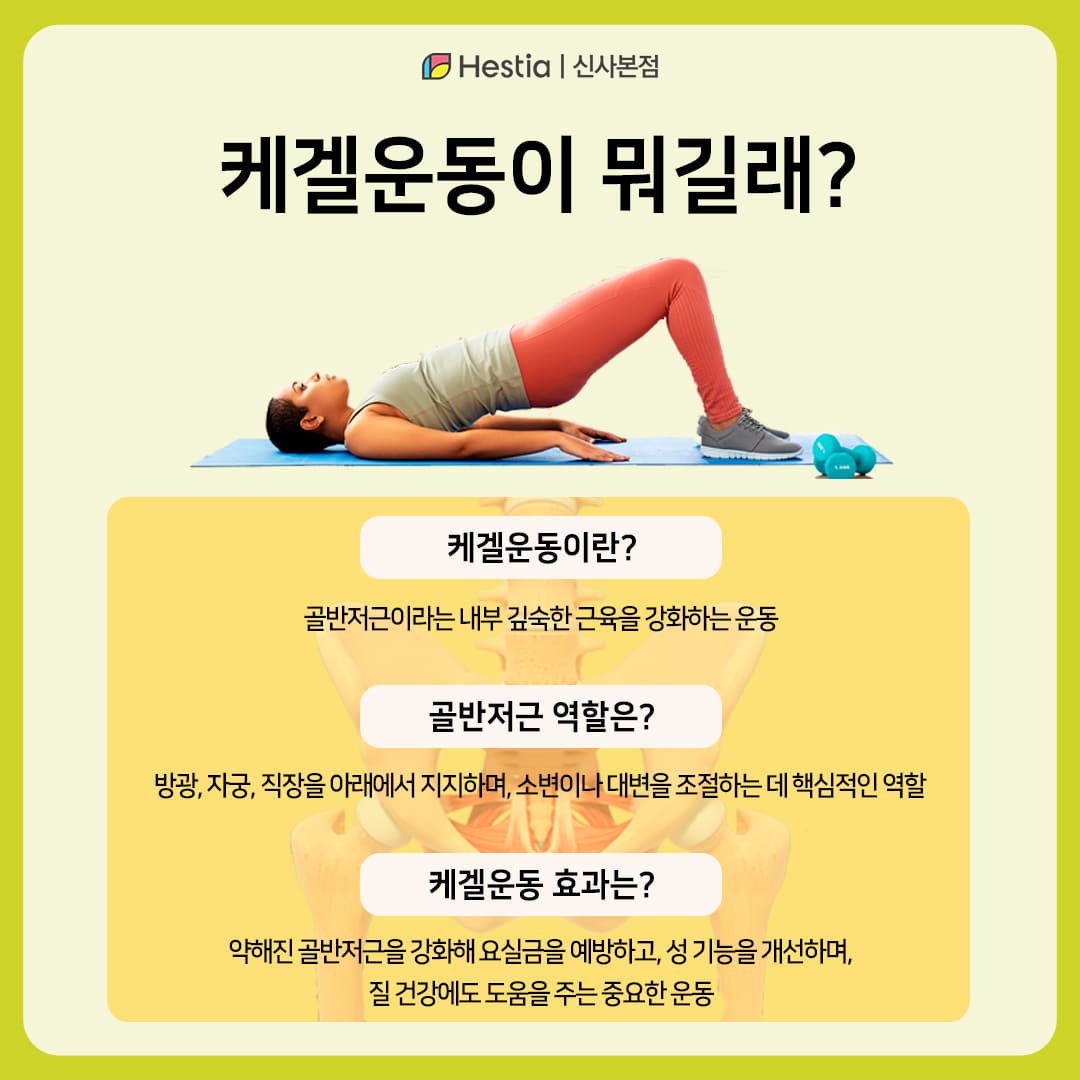 케겔운동효과 뭐길래? 소변실수를 막는 여성 건강의 핵심