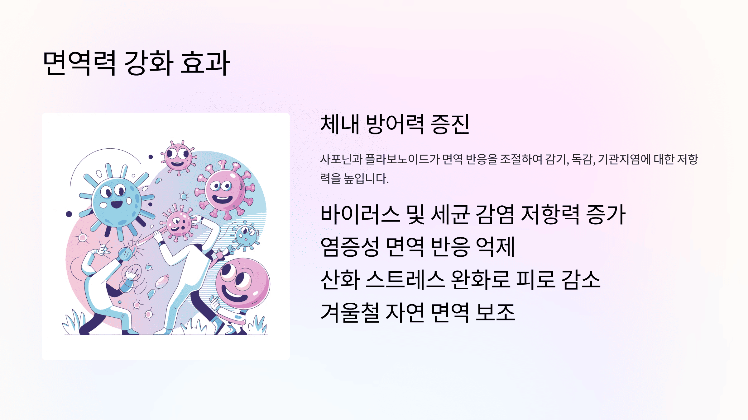 마가목 열매 효능, 면역&middot;관절 건강에 효과? 주의사항 총정리