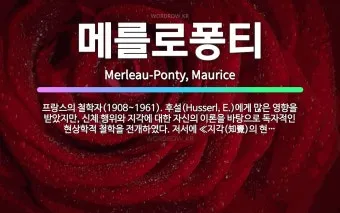 메를로퐁티 지각현상 3가지 예시와 현상학적 해석_17