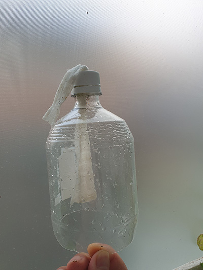 자동 급수 화분 1