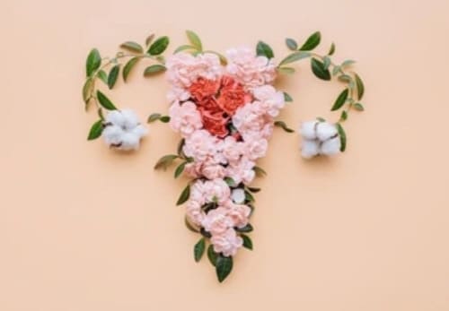 AMH-검사