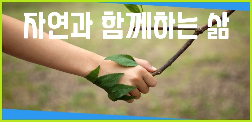 자연과 함께하는 삶