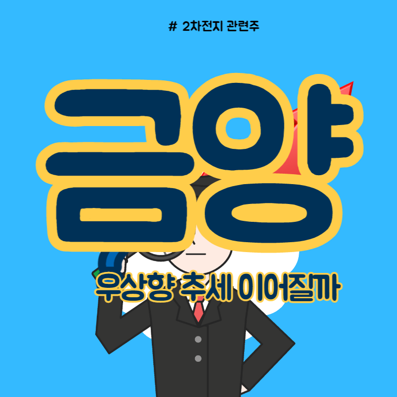 금양 주가
