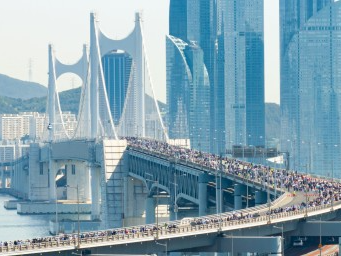 2024걷기대회 행사