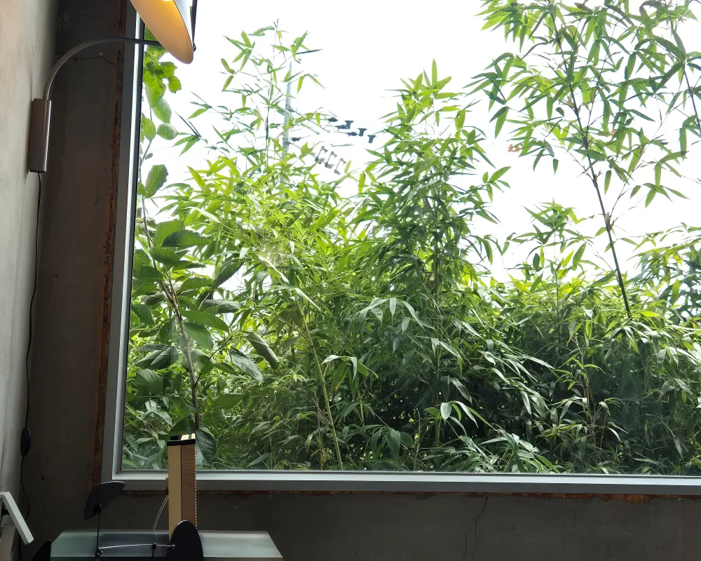 감성-카페-무눅-창가