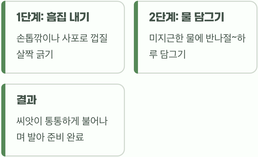 딱딱한 씨앗 잠 깨우기 (발아율 100%의 비밀)