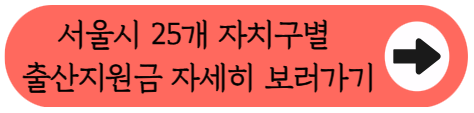 "우리 동네는 얼마나 줄까?" - 서울시 25개 자치구별 출산지원금 총정리(2026년)