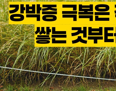 강박증 치료방법