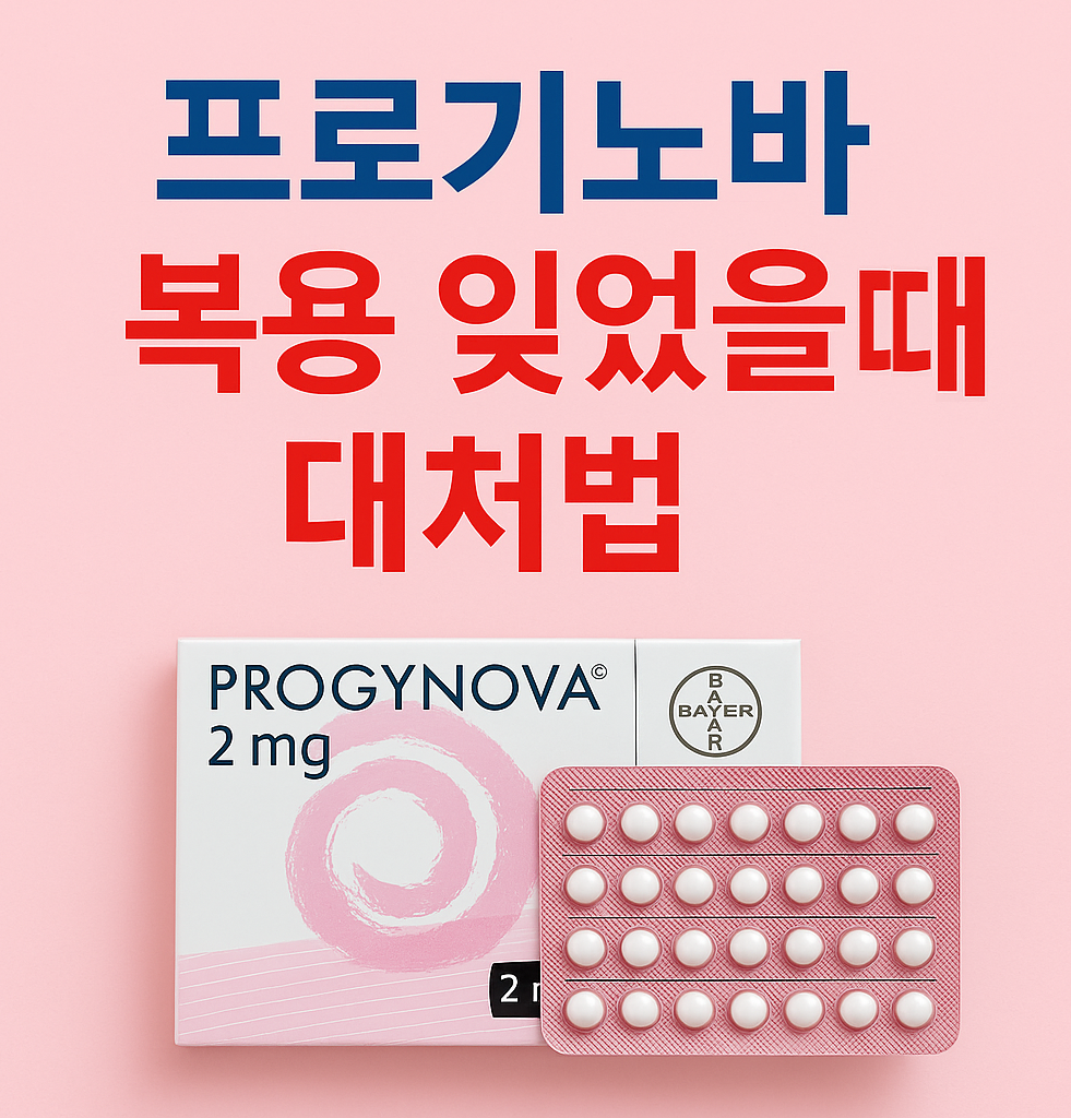 프로기노바 복용 잊었을 때 대처법 인포그래픽