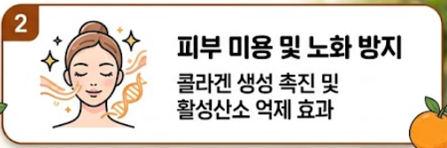 오렌지 효능