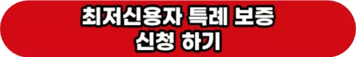 최저신용자-특례보증