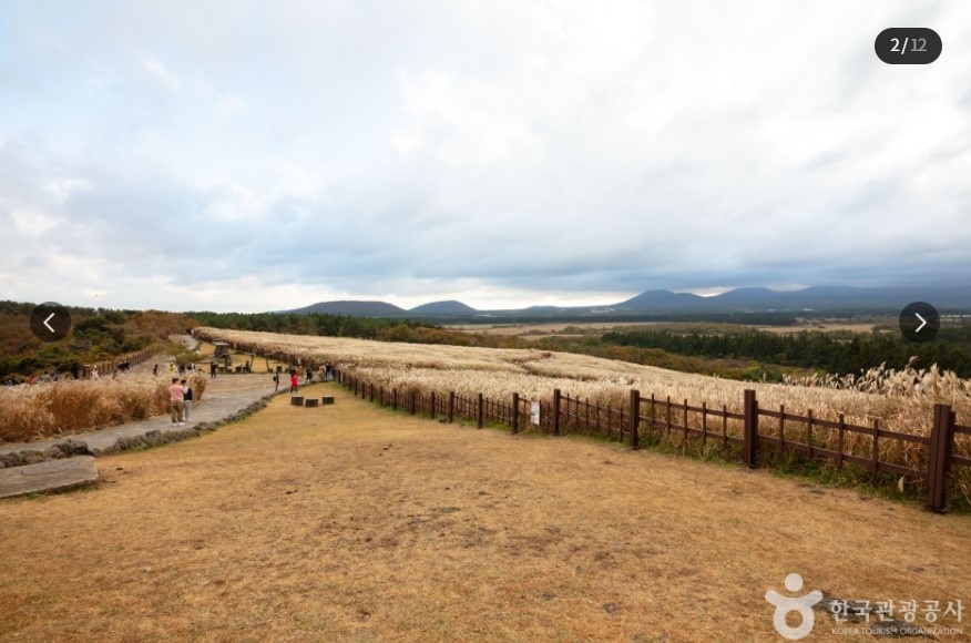대한민국 구석구석 (가을 여행 할인 혜택)