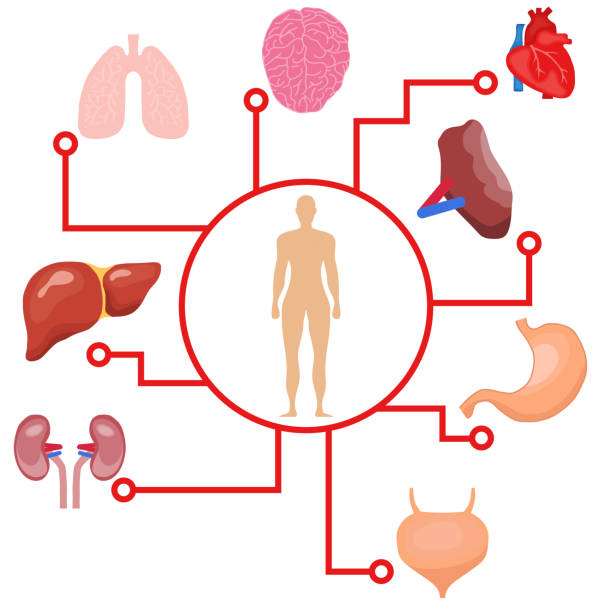 대사성 알칼리증 원인