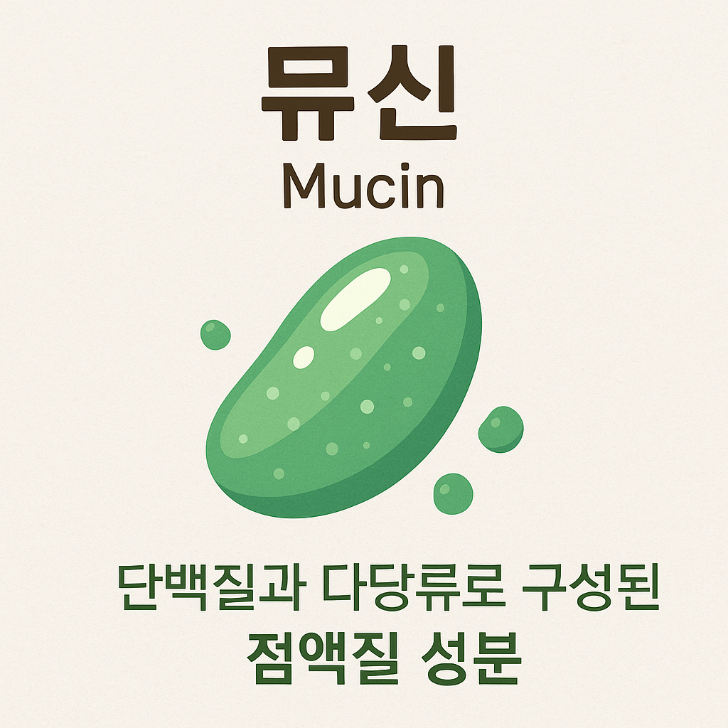뮤신 효능