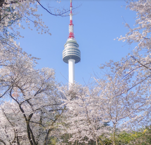 남산 타워 인근