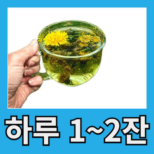 민들레차 섭취
