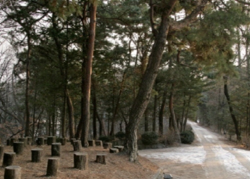 홍릉수목원