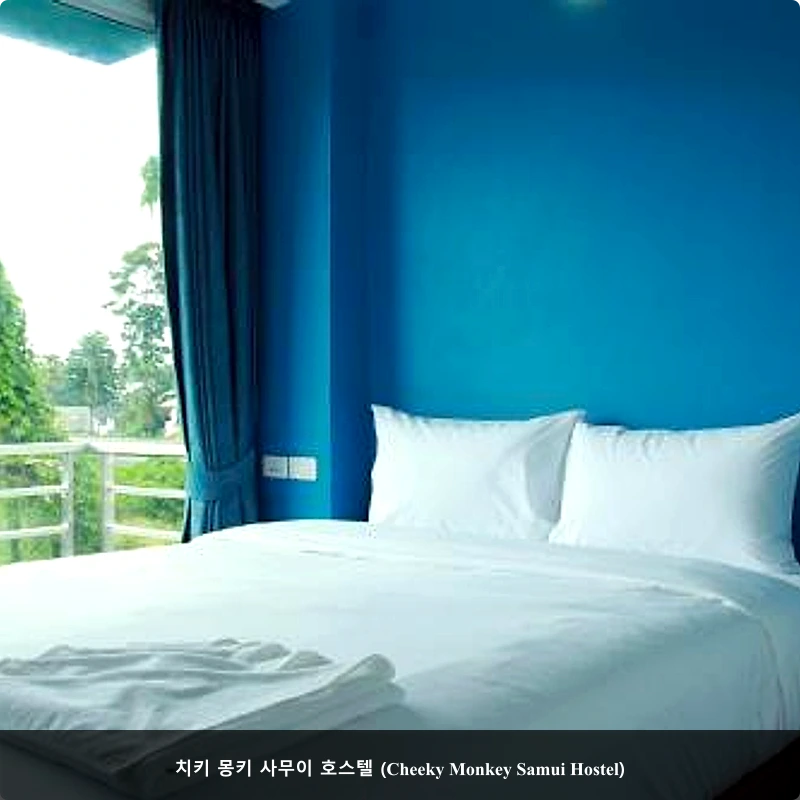 치키 몽키 사무이 호스텔 (Cheeky Monkey Samui Hostel)_2